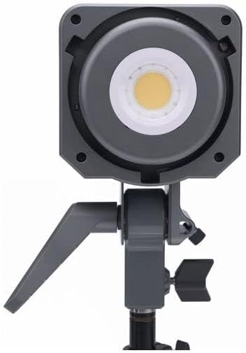 Amaran 100d S Daylight LED Monolight